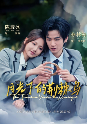 月光下的荆棘鸟（80集）热门短剧推荐点击链接看全集