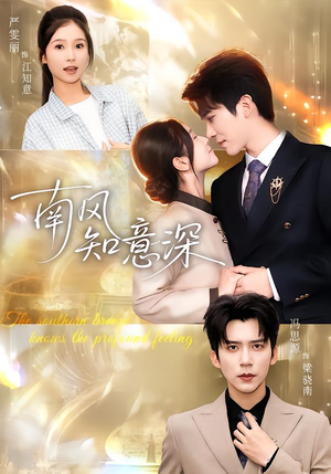 南风知意深（40集）短剧太好看了精彩推荐