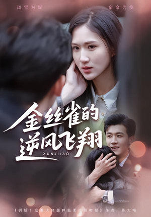 金丝雀的逆风飞翔（80集） 穿越题材短剧免费看