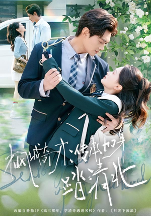 枫城奇才：传承加身踏清北（80集） 热门短剧免费看全集