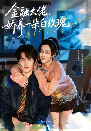 金融大佬，娇养一朵白玫瑰（70集）深夜必看热门短剧推荐