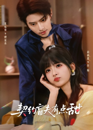 契约盲夫有点甜（63集）一毛不花追完短剧的平台精选