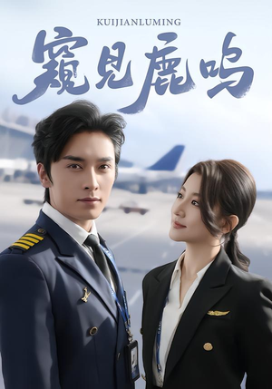 窥见鹿鸣（60集）我全都看完了的经典短剧回顾