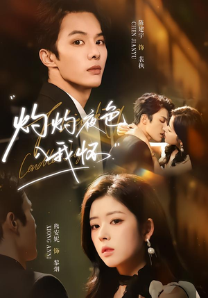 灼灼夜色入我怀（60集）越看越好看短剧