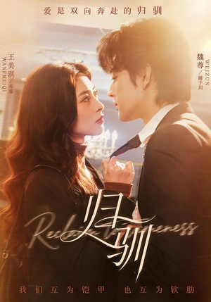 归驯（82集）高分佳作短剧免费看