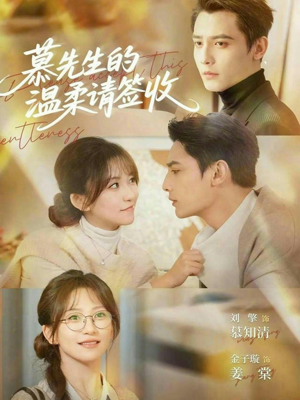 慕先生的温柔请签收（90集）红果短剧免费看荃集
