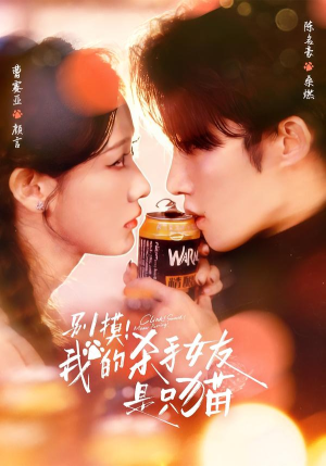 别摸！我的杀手女友是只猫（60集）火爆短剧推荐抢先看全集