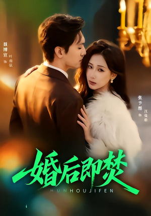 婚后即焚（77集）最新短剧全集完整版