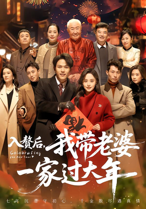 入赘后，我带老婆一家过大年（60集）短剧终章免费大放送