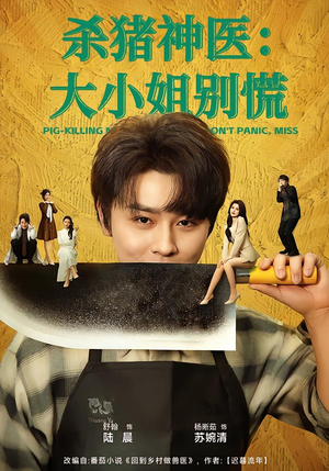 杀猪神医，大小姐别慌（80集）大结局一气呵成的热门短剧