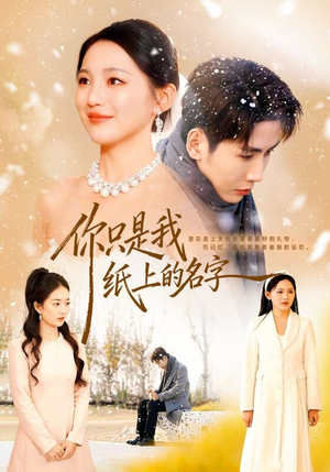你只是我纸上的名字（68集）热门短剧排行榜