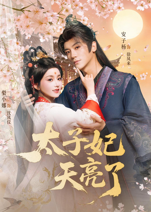 太子妃天亮了（80集）重生短剧热门短剧推荐