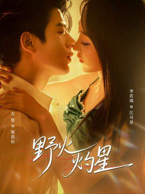 野火灼星（56集）每天热门短剧推荐