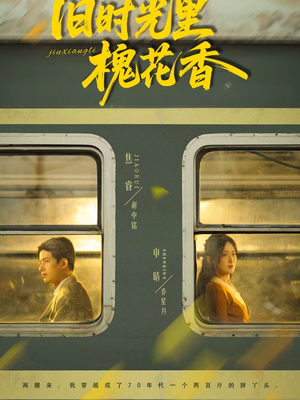 旧时光里槐花香（70集）每天更新最火短剧