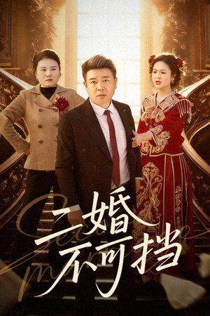 二婚不可挡（36集）不用花钱看全剧短剧