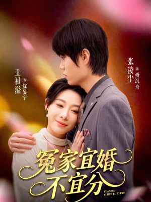 冤家宜婚不宜分（80集）千万短剧抢先看全集