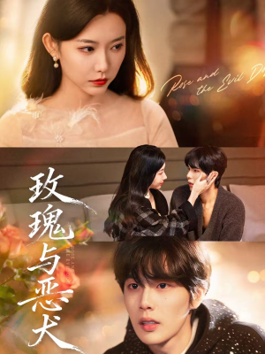 玫瑰与恶犬（80集）免费的短剧资源大全