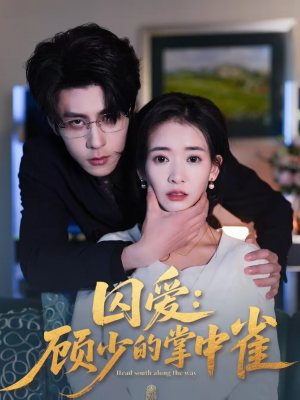 囚爱：顾少的掌中雀（70集）终于可以免费观看短剧了