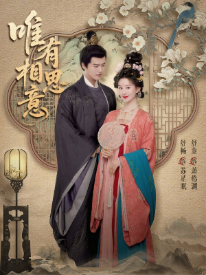 唯有相思意（100集）一口气看完热门短剧