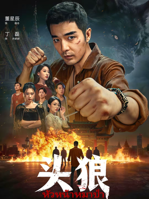 头狼（77集）精彩短片好剧推荐