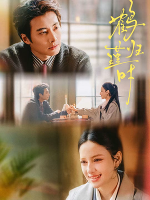 鹤归瑾时（81集）好看的短剧电视剧