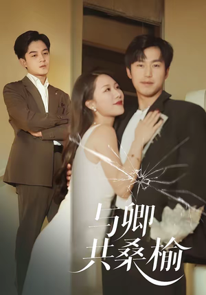 与卿共桑榆（63集）短剧推荐上热门