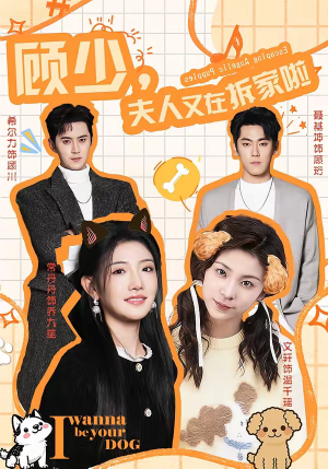 顾少，夫人又在拆家啦（78集）超精彩热门短剧推荐