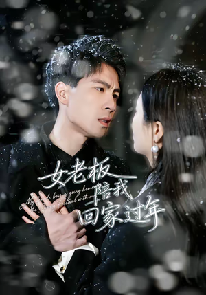 女老板陪我回家过年（40集）短剧太好看了女主霸气