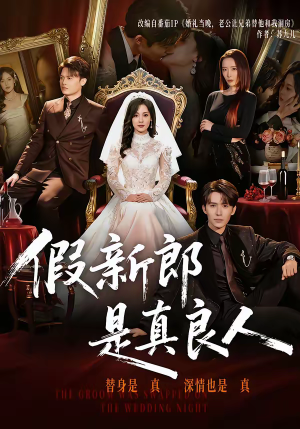 假新郎是真良人（67集）热播短剧推荐精彩片段
