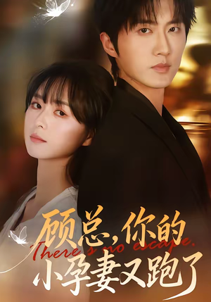 顾总，你的小孕妻又跑了（47集）热门短剧推荐古装