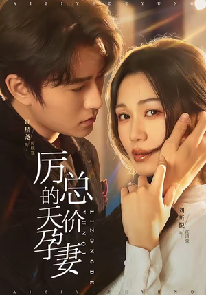 厉总的天价孕妻（42集）追风的女孩短剧