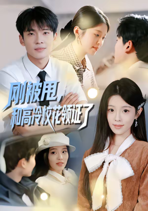 刚被甩，和高冷校花领证了（67集）独家短剧资源免费分享