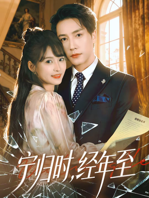 宁归时，经年至（72集）全集短剧免费观看无压力