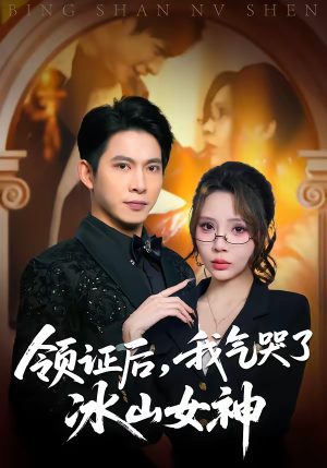 领证后，我气哭了冰山女神（60集）免费看全网短剧