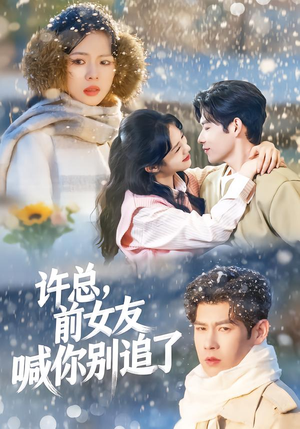 许总，前女友喊你别追了（80集）热门儿短剧抢先看