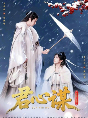 君心谋（80集）短剧熬夜也想看完的短剧