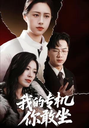 我的专机你敢坐（62集）推荐短剧每天更新