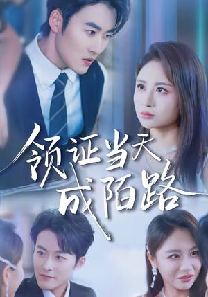 领证当天成陌路（39集）零花钱看整部短剧的优质平台