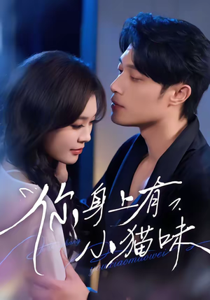 你身上有小猫味（47集）热播短剧全集看