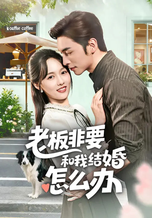 老板非要和我结婚怎么办（50集）超级好看的短剧