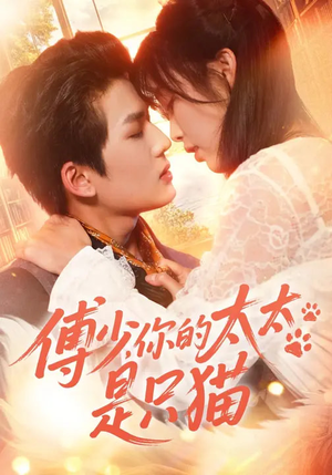 傅少，你的太太是只猫（64集）精彩的短剧又来了