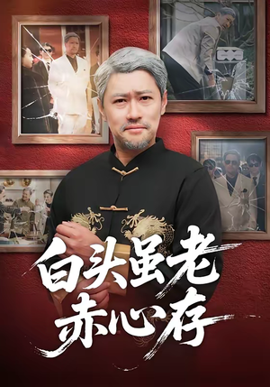 白头虽老赤心存（71集）前十的短剧值得一看