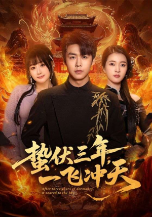 蛰伏三年，一飞冲天（60集）红果免费短视频剧