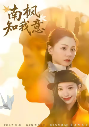 南枫知我意（41集）短剧大结局完美收官