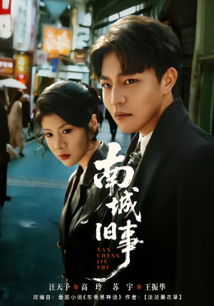 南城旧事（80集）热播短剧抢先看大结局