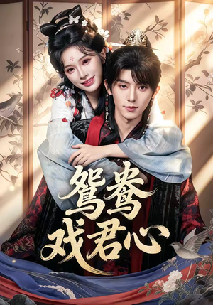 鸳鸯戏君心（60集）真的太精彩了短剧分享社区