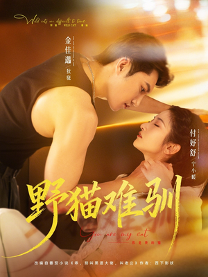 野猫难驯（73集）精彩短剧又来了