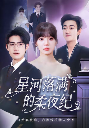 星河落满的柔夜纪（88集）一毛不花看完了整部短剧