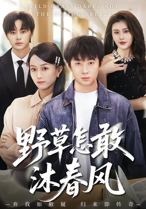 野草怎敢沐春风（61集）这短剧太好看了