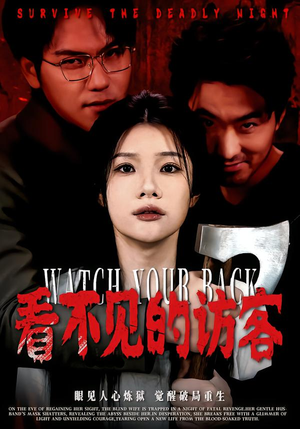 看不见的访客（62集）全集短剧免费在线观看